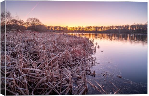 Serenity at Nostell Top Lake Canvas Print by Tim Hill