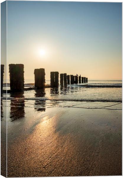 Sunrise Shadows on the Yorkshire Coast Canvas Print by Tim Hill