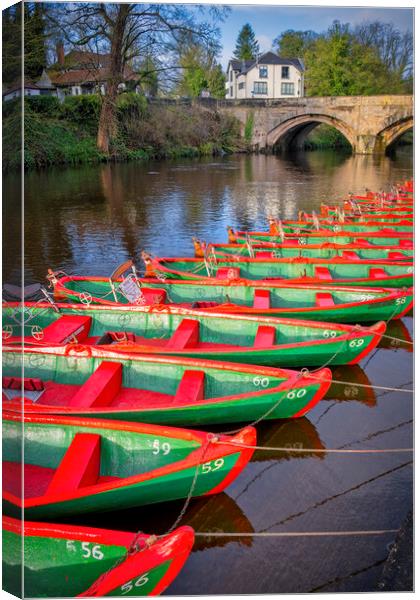 Serene Springtime Rowing on River Nidd Canvas Print by Tim Hill