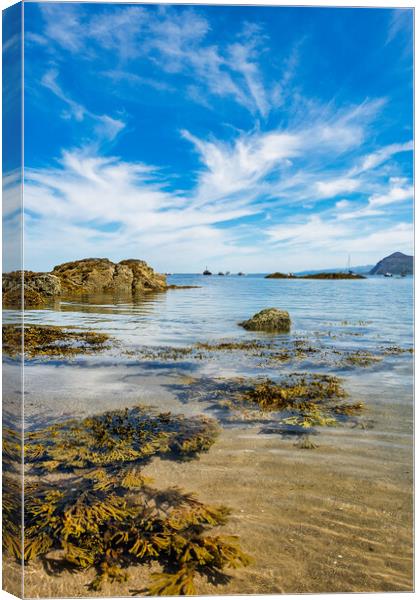 The Enchanting Beauty of Porthdinllaen Bay Canvas Print by Tim Hill
