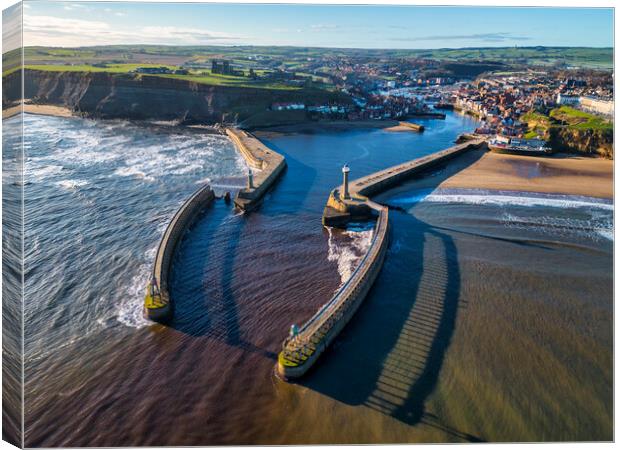 Whitby Harbour Entrance from Above Canvas Print by Tim Hill
