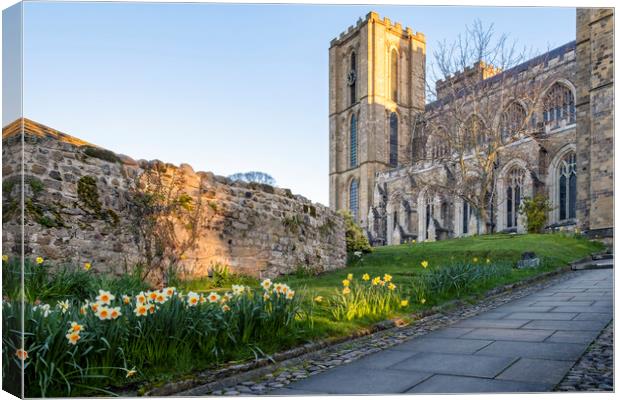 Ripon Cathedral Easter Weekend 2023 Canvas Print by Tim Hill