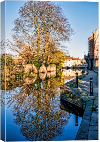 Serenity on Ripon Canal Canvas Print by Tim Hill