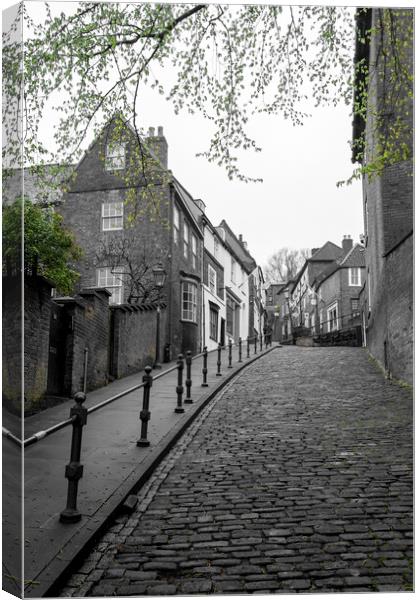 Lincolns Historic Steep Hill A Green Contrast Canvas Print by Tim Hill