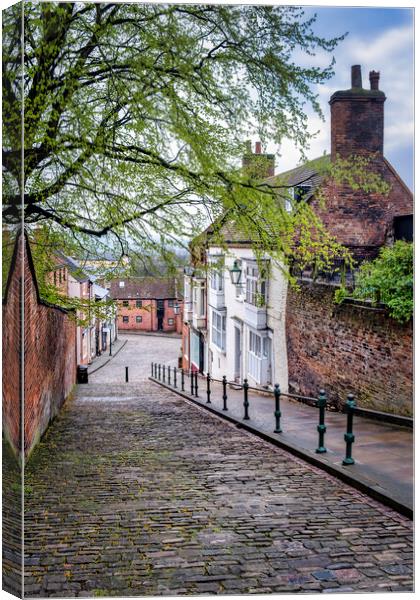 Steep Hill, City of Lincoln Canvas Print by Tim Hill