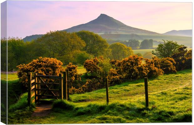 Roseberry Topping: North Yorkshire Gem Canvas Print by Tim Hill