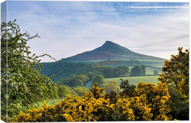 Roseberry Topping: Spring Landscape Canvas Print by Tim Hill