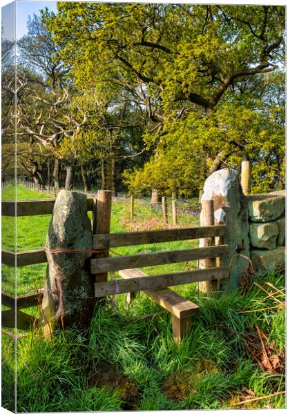 wooden Stile to Newton Woods in North Yorkshire Canvas Print by Tim Hill