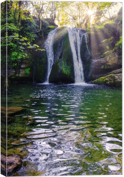 Janet's Foss: Yorkshire Dales Sunrise Canvas Print by Tim Hill