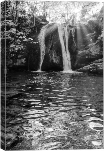 Janet's Foss Black and White Canvas Print by Tim Hill