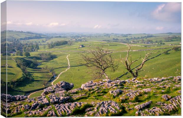 Alive & Dead: Malham Yorkshire Dales Canvas Print by Tim Hill