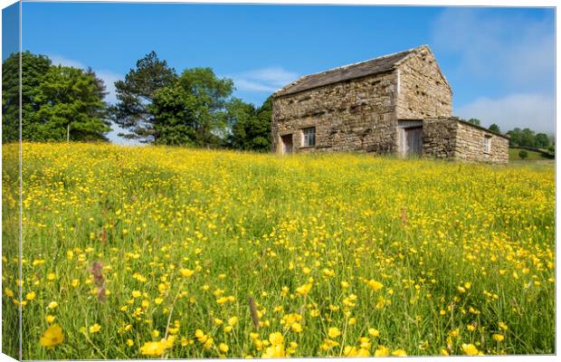Muker Wildflower Meadows Upper Swaledale Canvas Print by Tim Hill