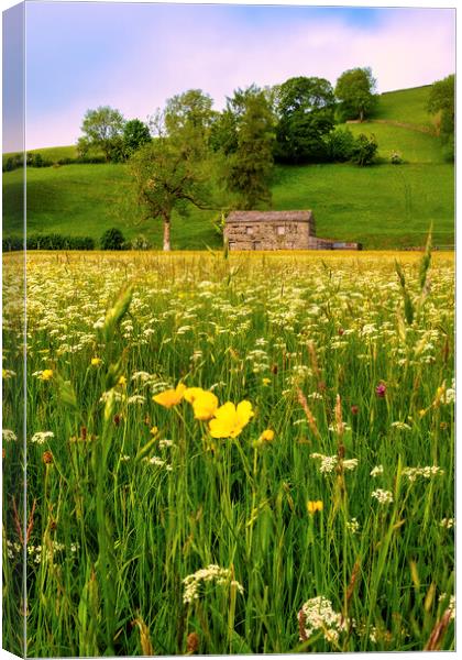 Summer Memories: Muker Wildflower Meadow Canvas Print by Tim Hill