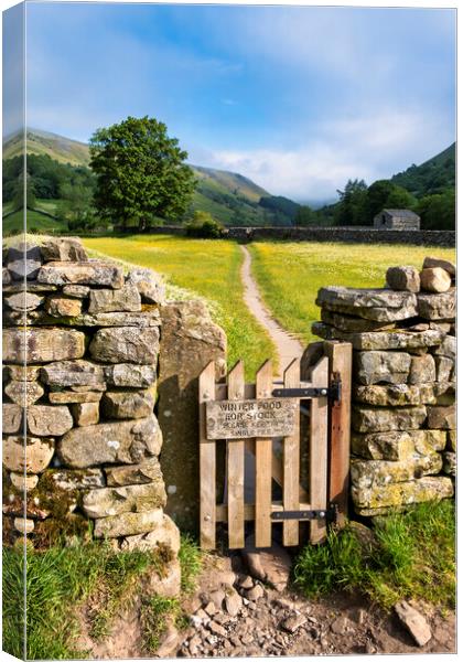 Muker Flower Meadows Swaledale, North Yorkshire Canvas Print by Tim Hill