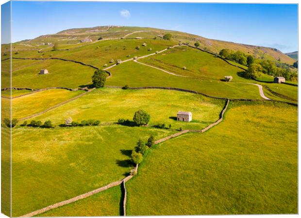 Muker Buttercup Meadows: Yorkshire Dales Hillside Canvas Print by Tim Hill