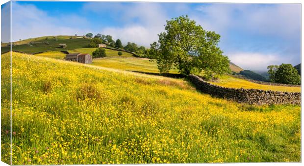Muker Buttercup Meadows, Upper Swaledale Canvas Print by Tim Hill