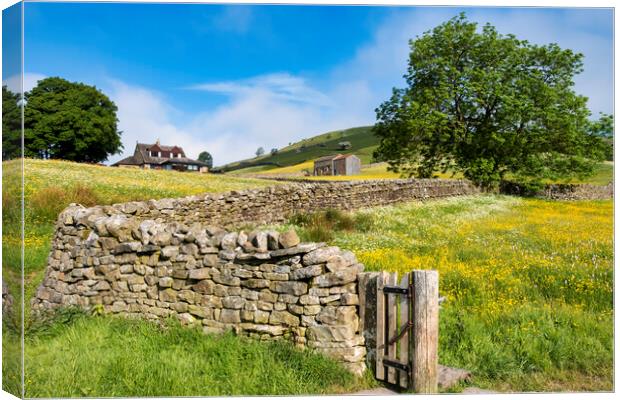 New and Old: Muker Wildflower Meadows Canvas Print by Tim Hill