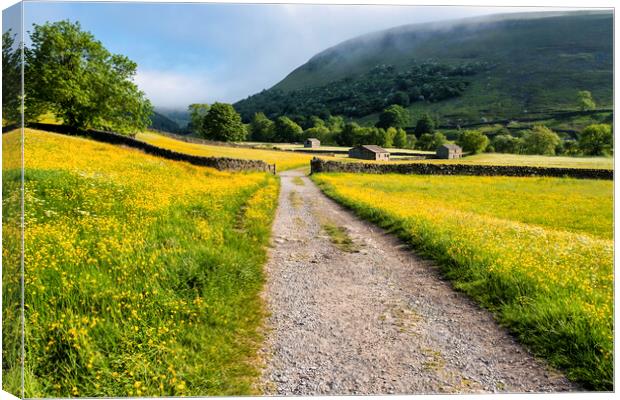 Summer has Arrived: Muker Wildflower Meadows Canvas Print by Tim Hill