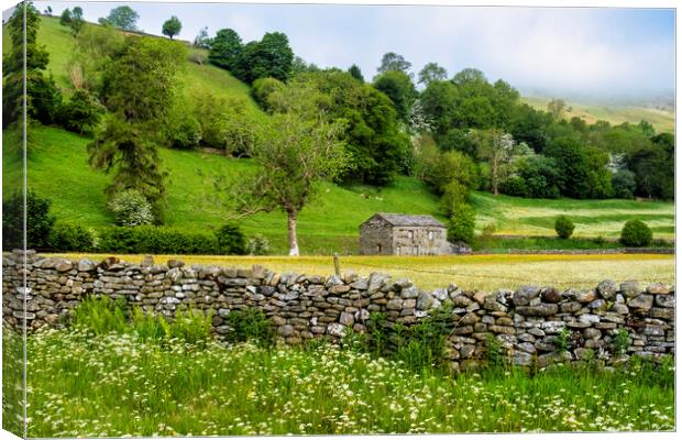 Stone Cattle and Sheep Barn Swaledale Canvas Print by Tim Hill
