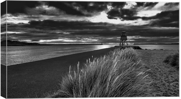 Herd Groyne Black and White Canvas Print by Tim Hill