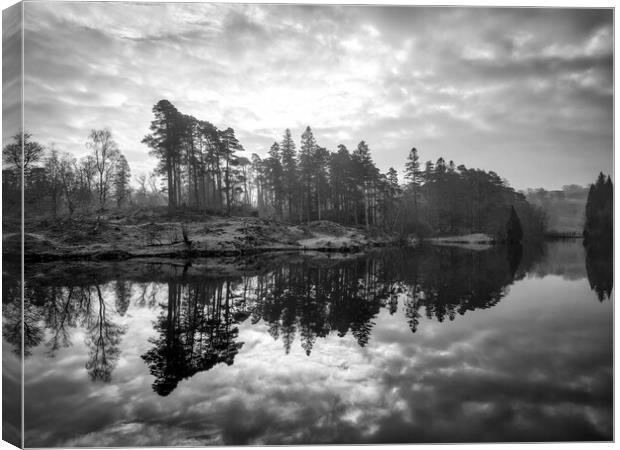 Tarn Hows Reflections Canvas Print by Tim Hill