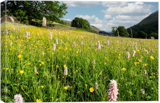 Muker Wildflower Meadow, North Yorkshire Canvas Print by Tim Hill
