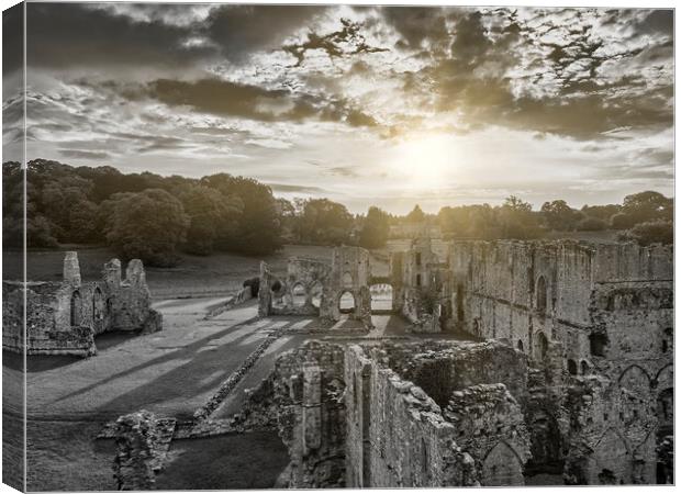 Easby Abbey Black and Light Canvas Print by Tim Hill