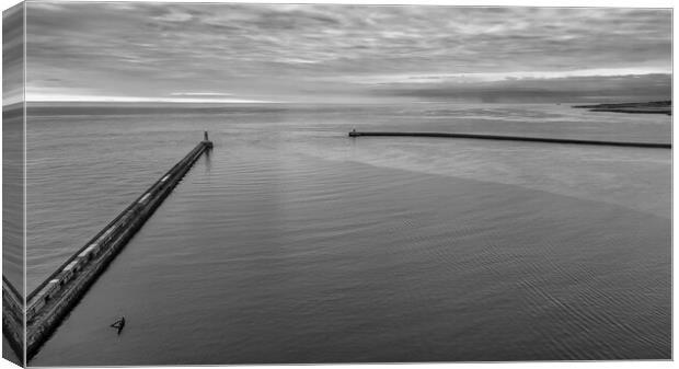 Tynemouth Black and White Canvas Print by Tim Hill