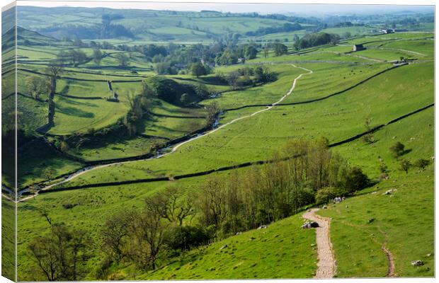 Malham Cove Steps Yorkshire Dales Canvas Print by Tim Hill