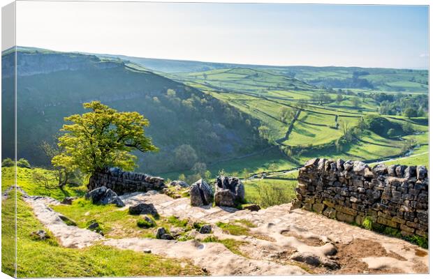 Malham Cove Landscape Yorkshire Dales Canvas Print by Tim Hill