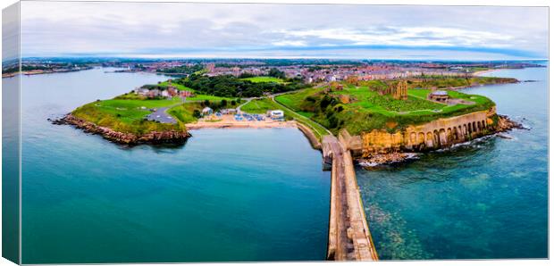 Tynemouth Priory Aerial Panoramic Canvas Print by Tim Hill