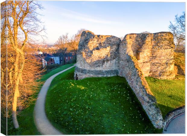 Pontefract Castle ~ Spring Daffodils  Canvas Print by Tim Hill