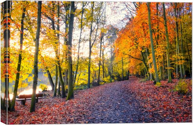 Autumn Sunrise Newmillerdam Canvas Print by Tim Hill