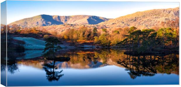 Tarn Hows to Old Man of Coniston Canvas Print by Tim Hill