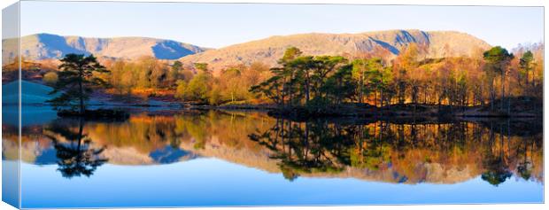 Tarn Hows Reflections Panoramic Canvas Print by Tim Hill