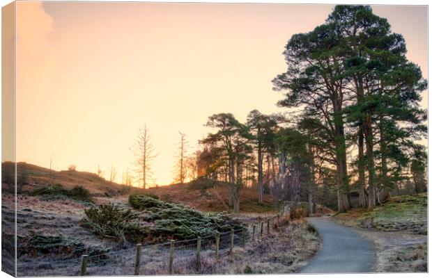 November Sunrise: Tarn Hows Lake District Canvas Print by Tim Hill