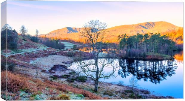 Tarn Hows Landscape: Lake District National Park Canvas Print by Tim Hill