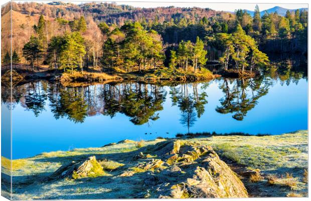 Stunning Tarn Hows: Lake District Landscape Canvas Print by Tim Hill