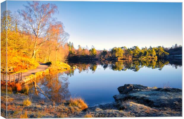 Tarn Hows: November Sunshine Canvas Print by Tim Hill