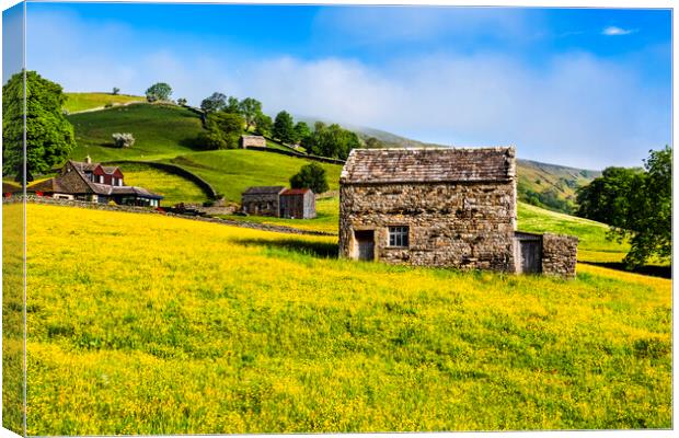 Muker Wildflower Meadows Yorkshire Canvas Print by Tim Hill
