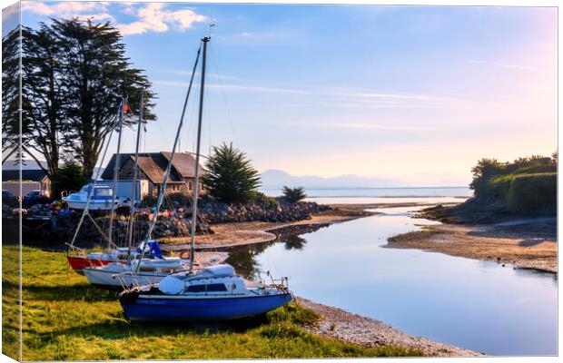 Abersoch Boatyard and Estuary  Canvas Print by Tim Hill
