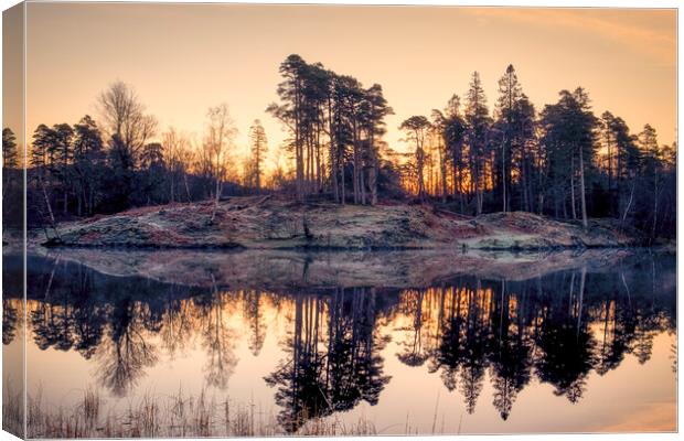 Tarn Hows Sunrise ~ Lake District Canvas Print by Tim Hill