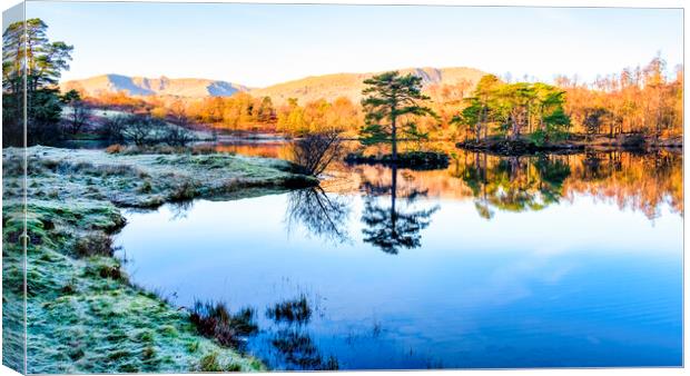 Tarn Hows Landscape: Lake District National Park Canvas Print by Tim Hill