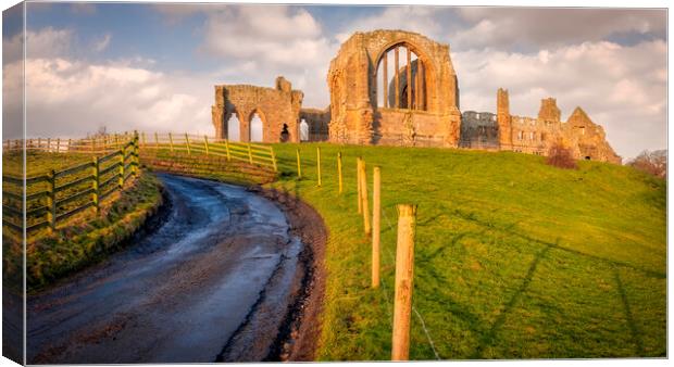 Egglestone Abbey at Barnard Castle Canvas Print by Tim Hill