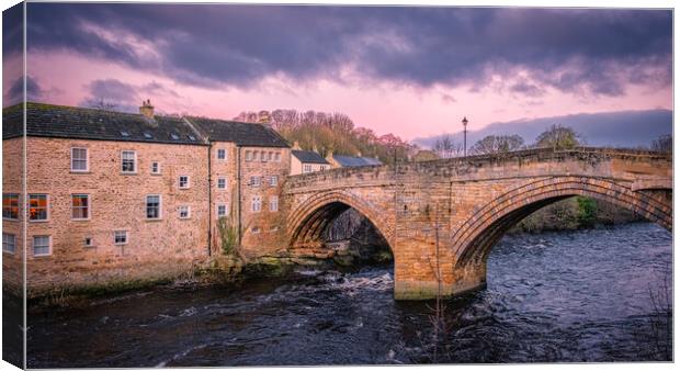 County Bridge at Barnard Castle Canvas Print by Tim Hill