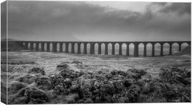 Ribblehead Viaduct Canvas Print by Tim Hill