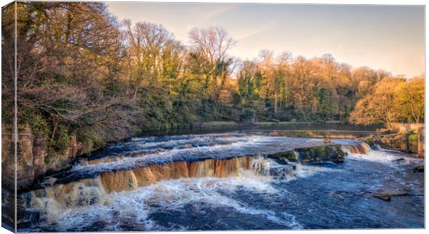 Richmond Falls North Yorkshire Canvas Print by Tim Hill