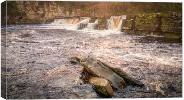 Richmond Falls North Yorkshire Canvas Print by Tim Hill