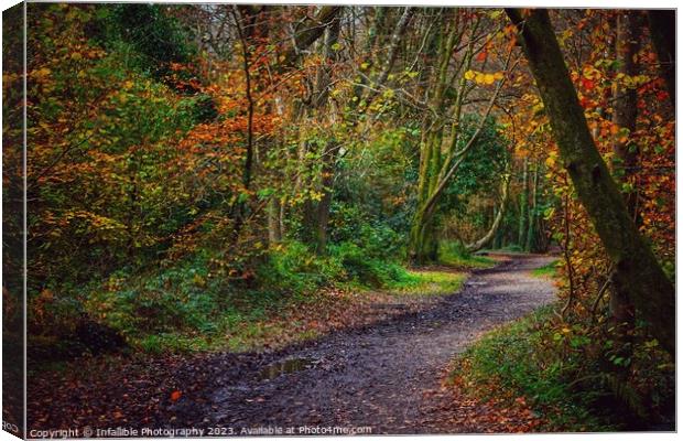 Woodland Canvas Print by Infallible Photography