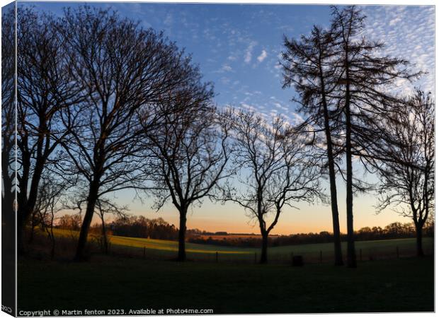 Winter sunset over fields Canvas Print by Martin fenton